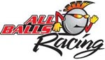 ALL BALLS (25-1269) Wheel Bearing Kit | Wheel Bearing Kit - Rear