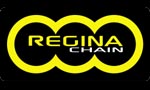 REGINA (5QUAD/096KSU001) Chain and Sprocket Kit | Chain and Sprocket Kit -Artic Cat - 400 DVX - '04-'08